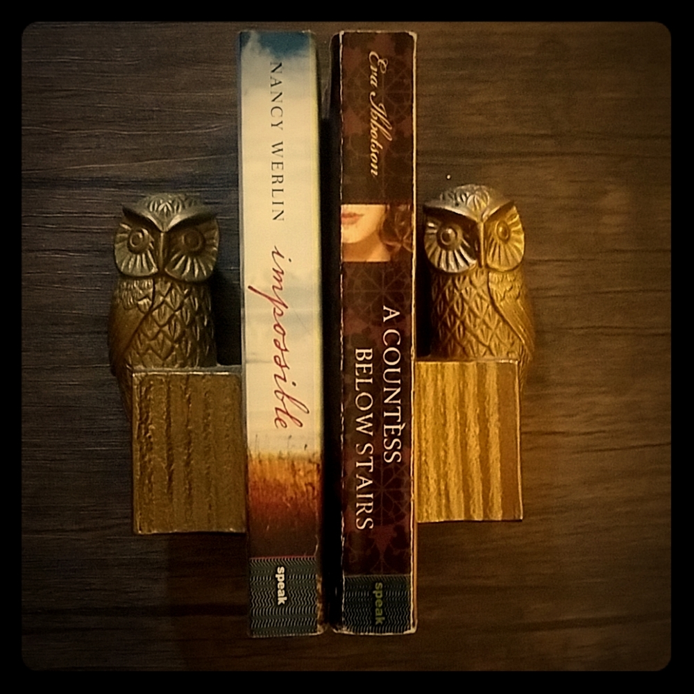 Pair of vintage owl bookends